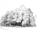 Illustrations jardins nantais - Cimetière parc - Cyprès chauves
