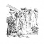 Illustrations jardins nantais - Jardin extraordinaire - La cascade